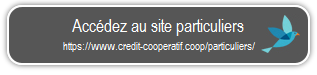 Bouton "Accedez au site particuliers"